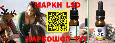 МДПВ Можга