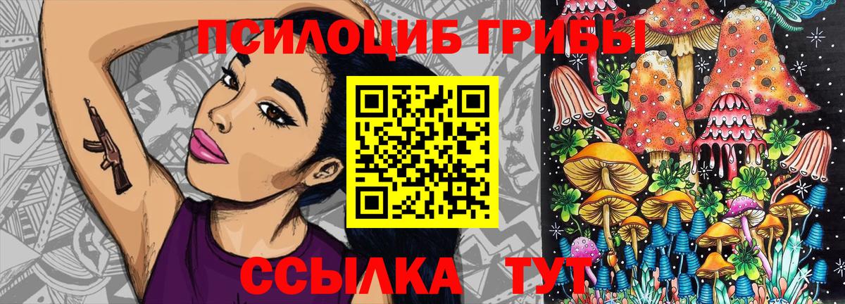 Галлюциногенные грибы мицелий  Вход с VPN  Галлюциногенные грибы Psilocybine cubensis  Верхняя Пышма 
